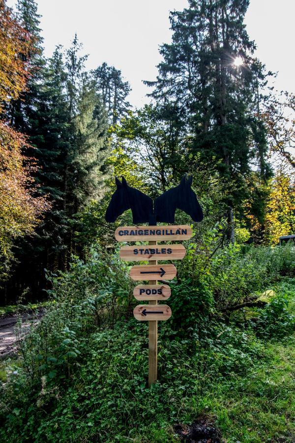 DalmellingtonGlamping Pod 2 Magical Craigengillan Estate别墅 外观 照片
